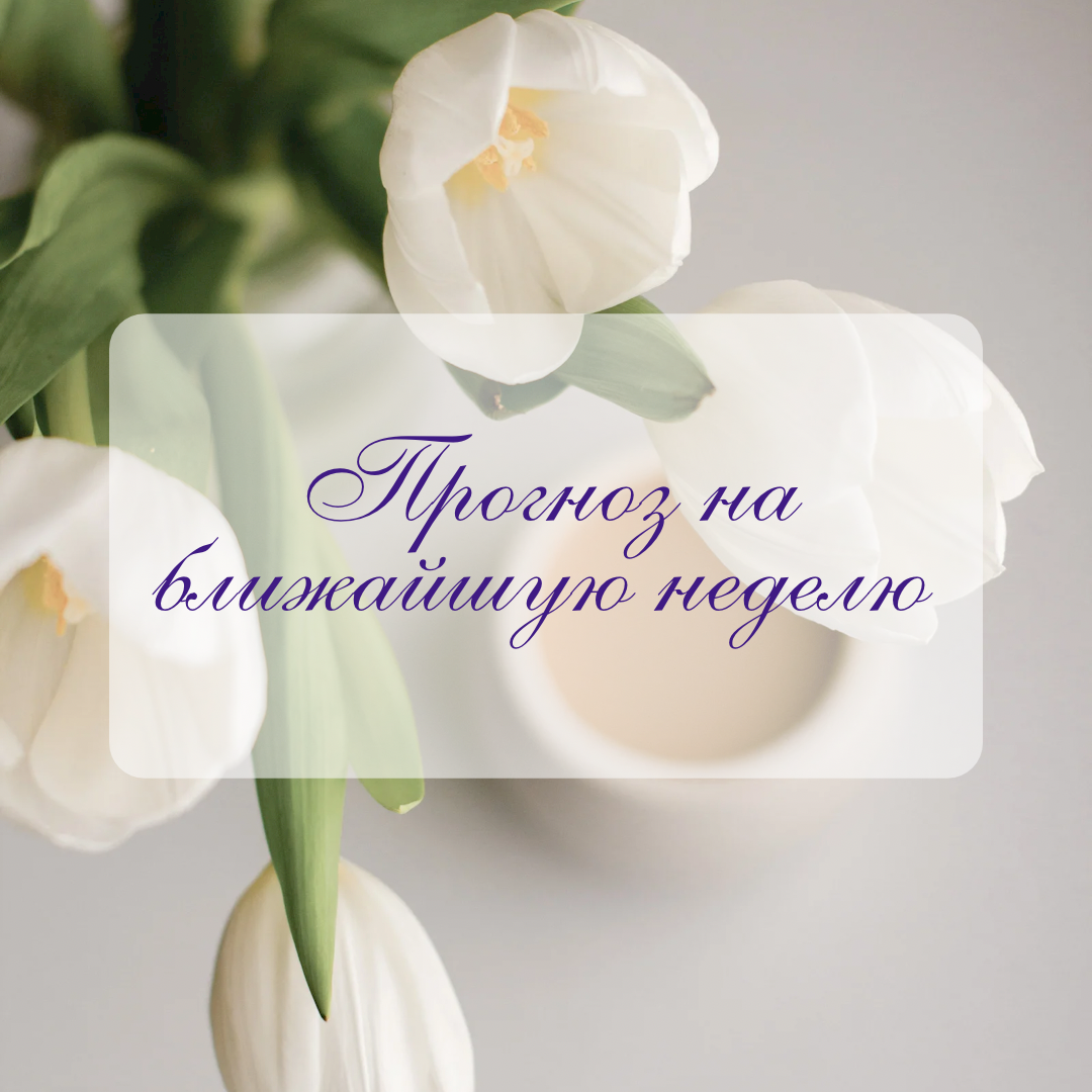 Прогноз будет на три варианта. Настраивайтесь и выбирайте одну из трёх карт. Прогноз актуален на ту да у просмотра, когда вы увидели расклад