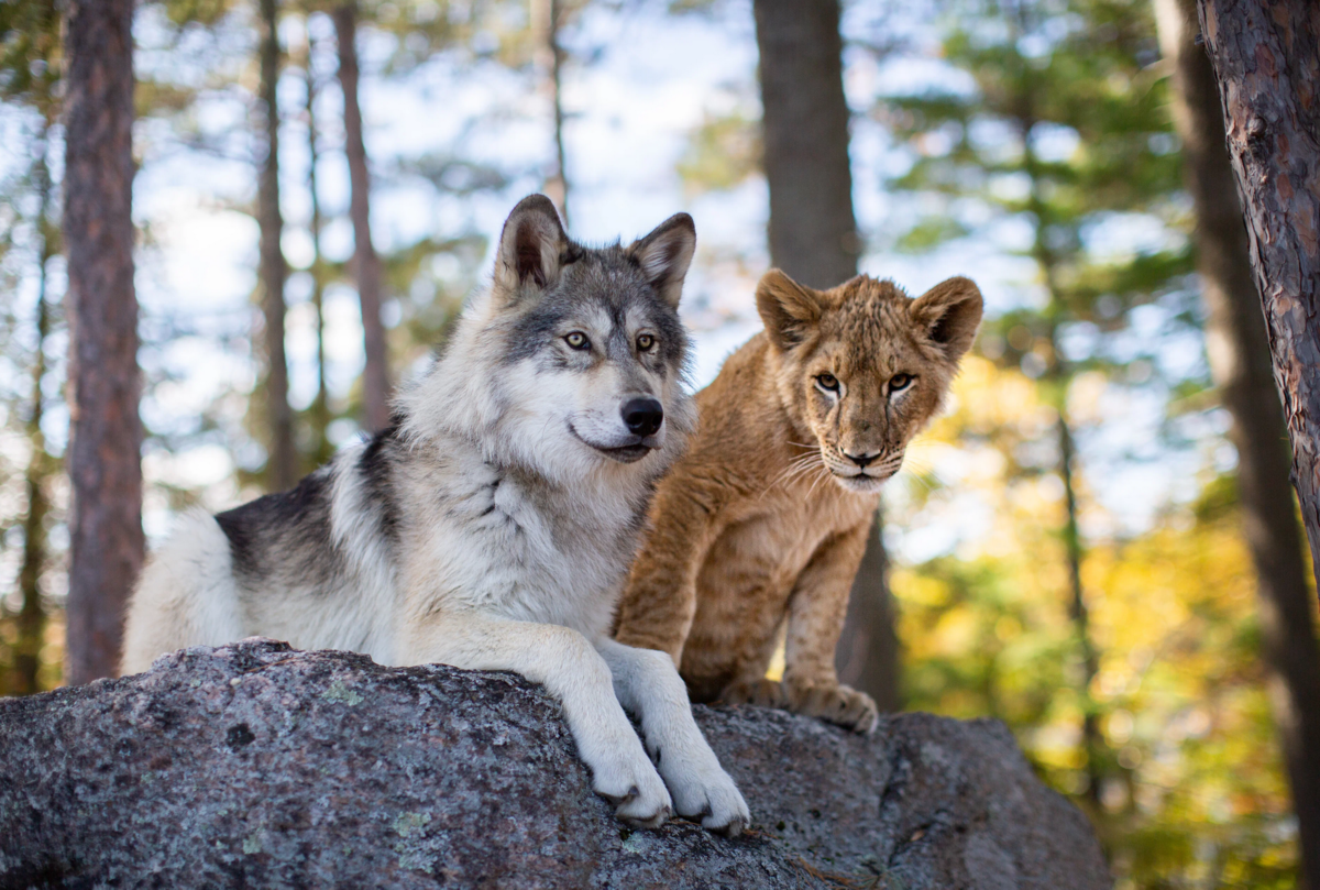 Кадр из фильма