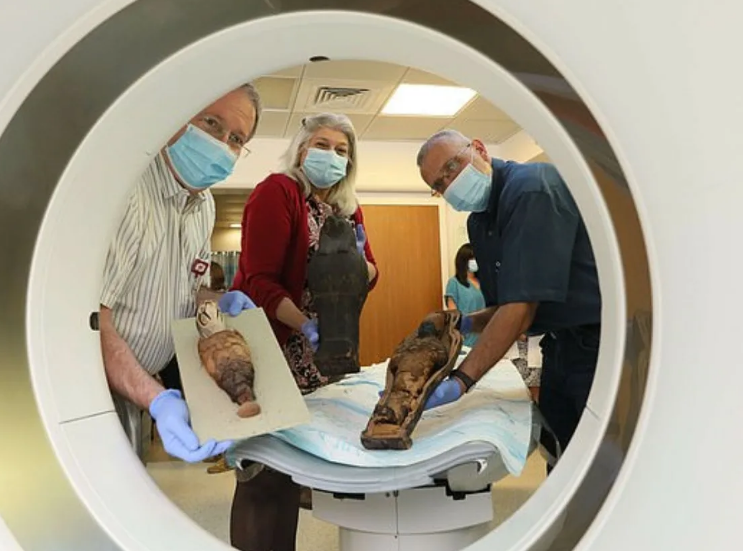 Яндекс.Картинки