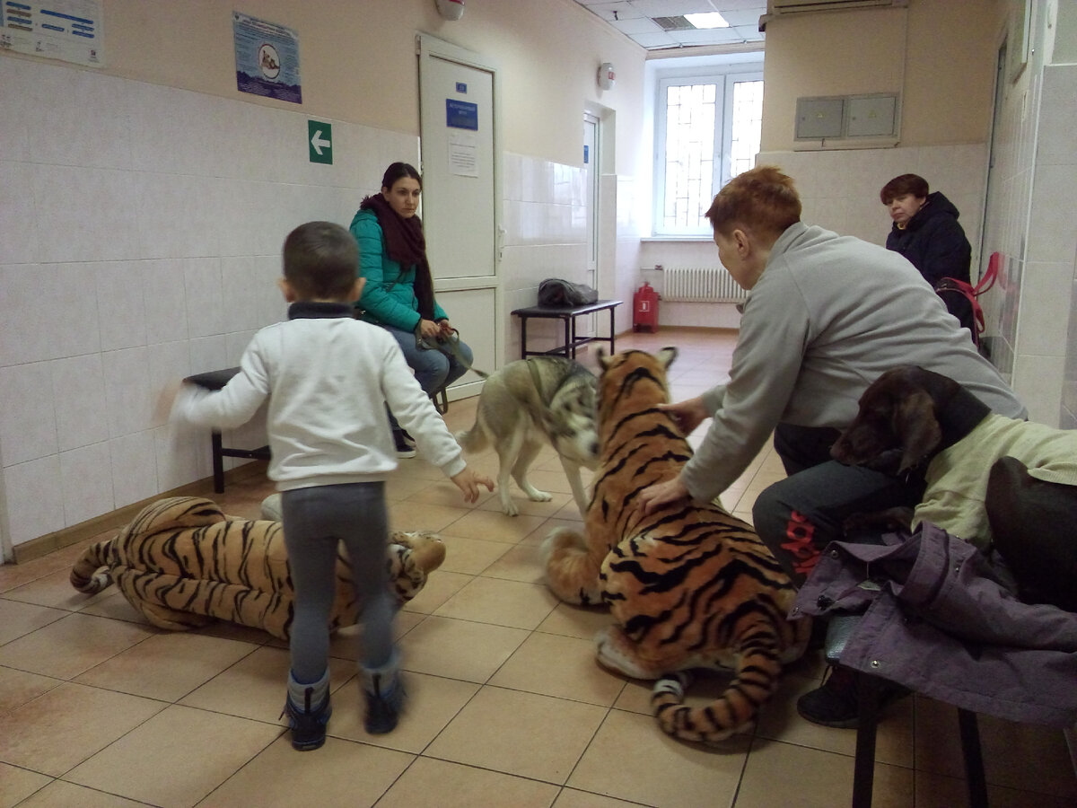 В ветеринарной клинике на Каспийской улице.
