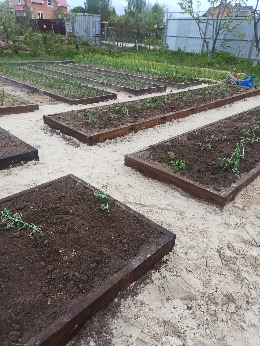 Готово, моей радости нет предела