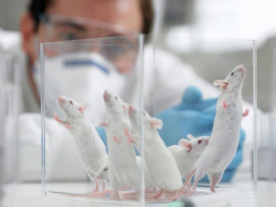 ФОТО: DISCOVER24.RU