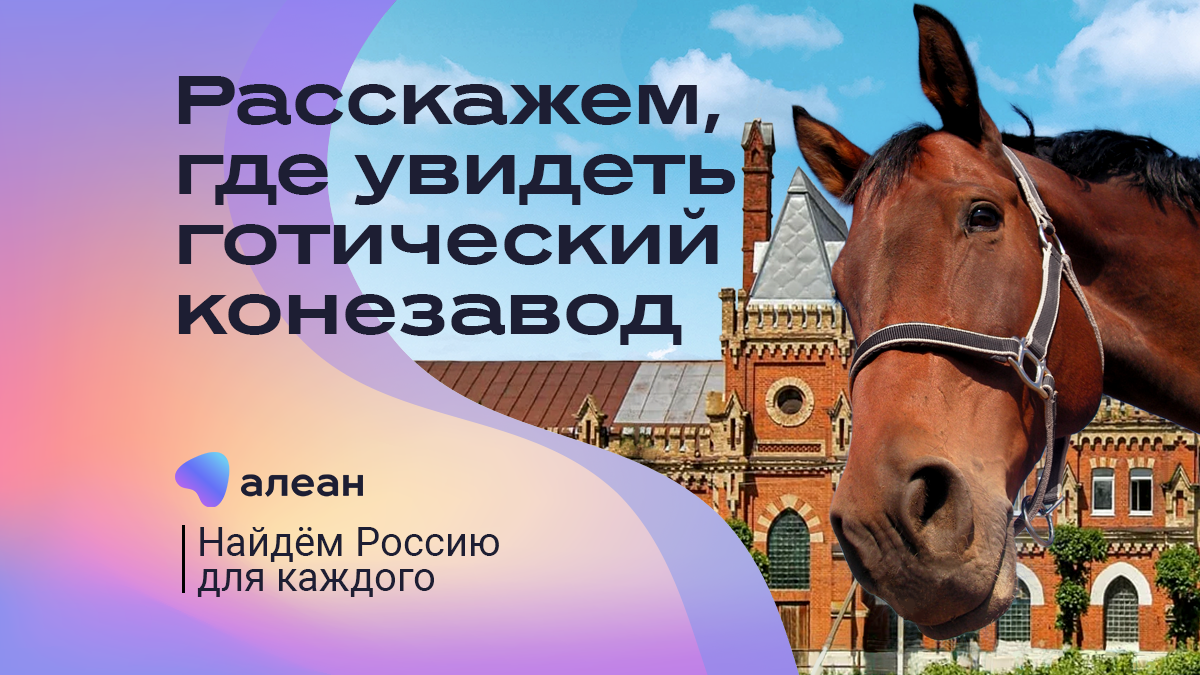 Невероятное место в России: Старожиловский конный завод