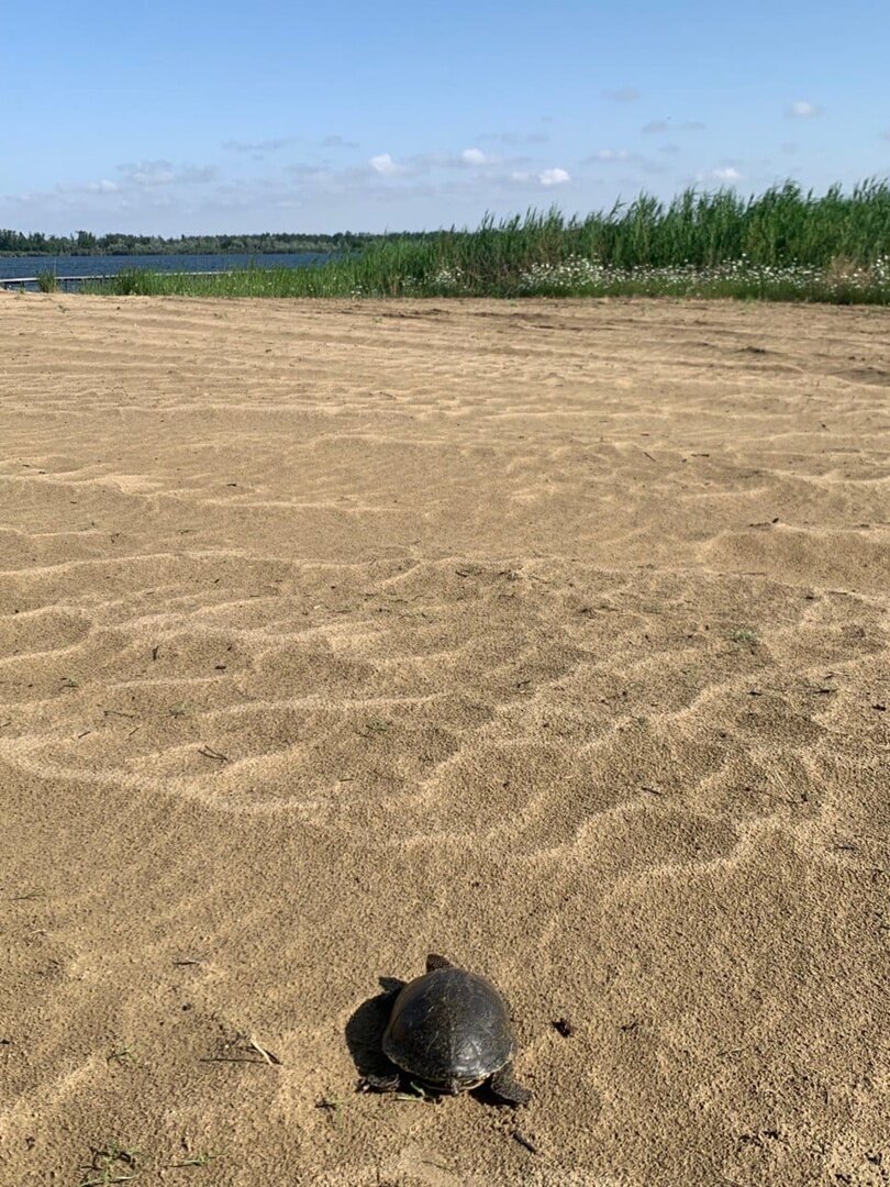 Погода в зункаре