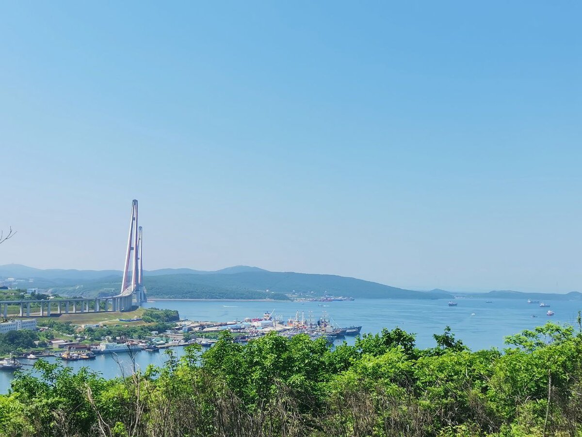 Вид с Морского кладбища Владивостока