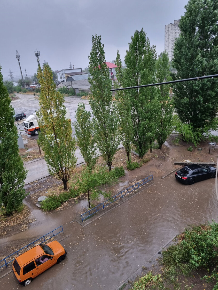 Фото автора