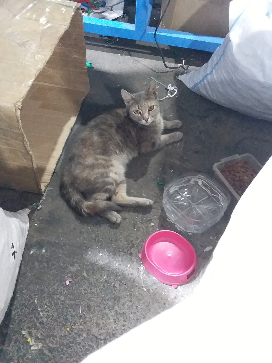 Прошу прощения за качество фото. Это просто единственное оставшееся фото о жизни Манюни на заводе.