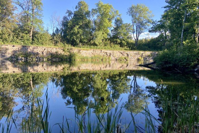   Фото: Калининград.Ru