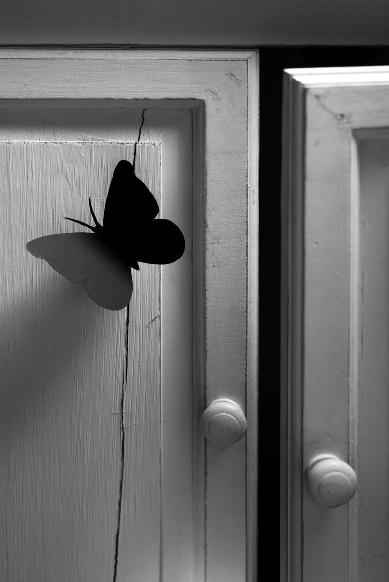 Работа. Титульный лист календаря 2019 года. Идея, фото, композиции, исполнение, фото - мои.