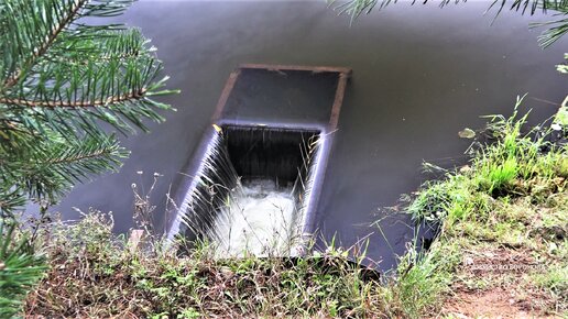 Пруд, плотина и водоспуск в нашей деревне