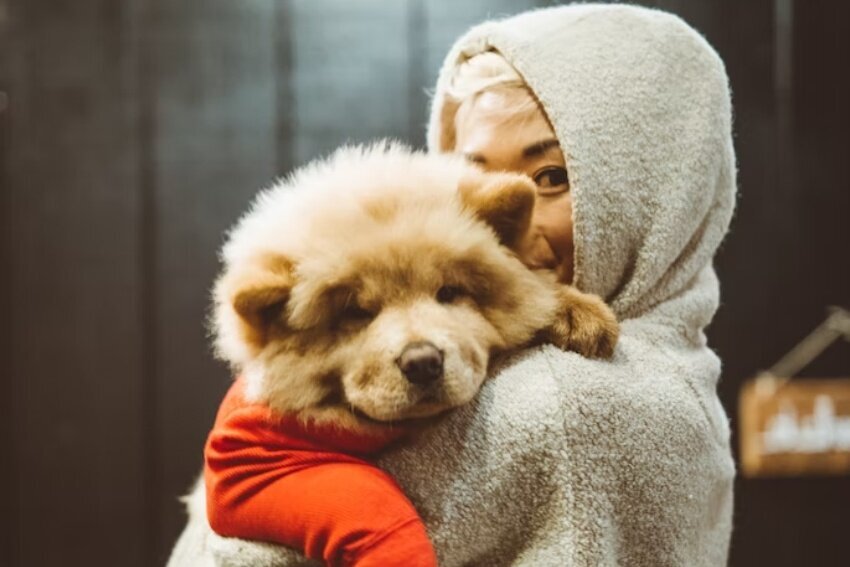 Как только я переехала, так сразу обзавелась мохнатым другом