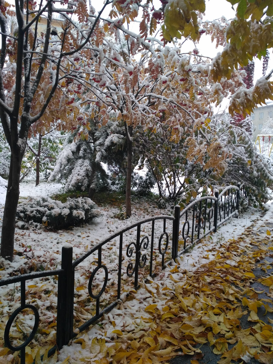 Первый снег