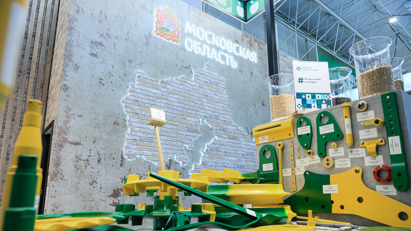    Выставка «Золотая осень – 2022» в Подмосковье ©Константин Семенец Пресс-служба Губернатора и Правительства Московской области