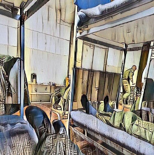 Началась новая жизнь... 