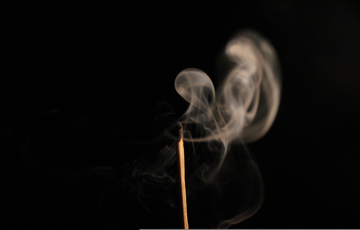 Источник: https://unsplash.com/photos/LfUXV5gMDfs