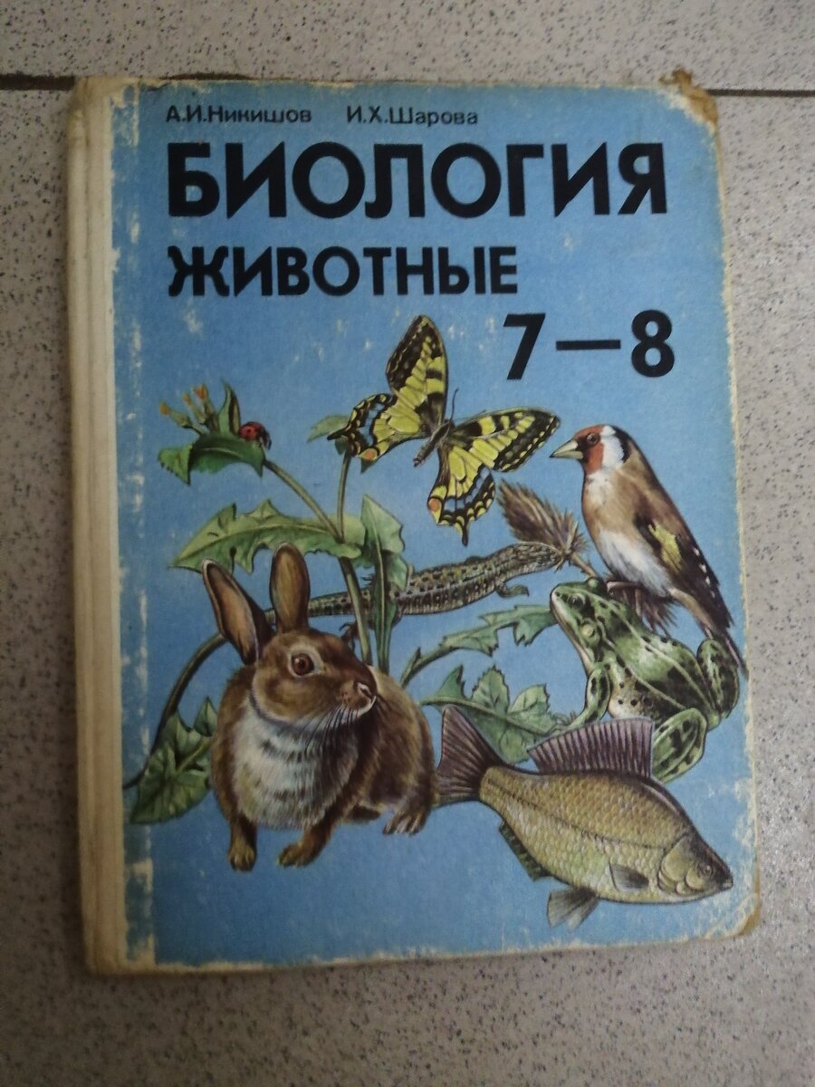 Учебники, по которым мы учились в 90е | Двухметровый омич | Дзен