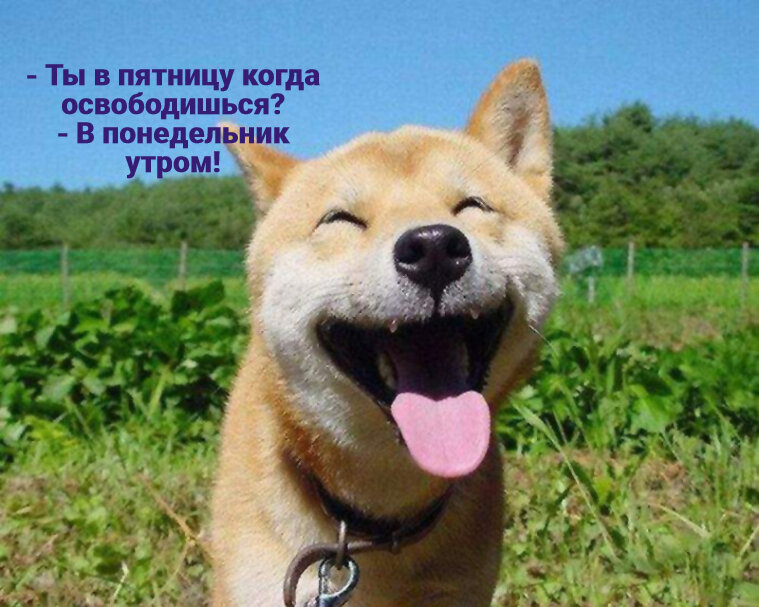 Фото взято из открытого источника в Интернете.