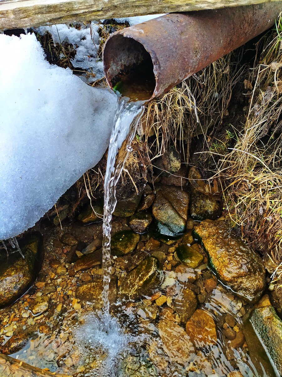 Родник с серебряной водой. Фото автора