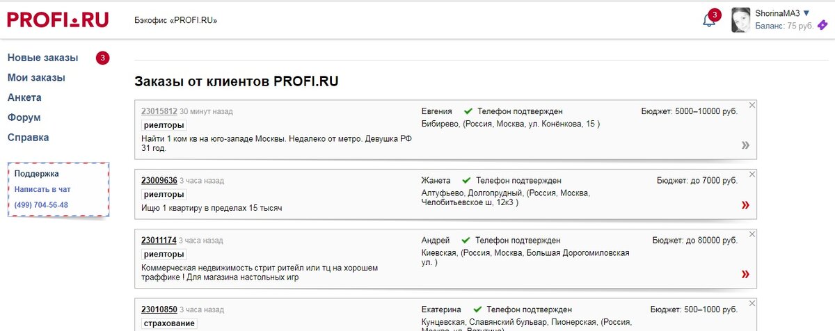 Так выглядит интерфейс портала Профи