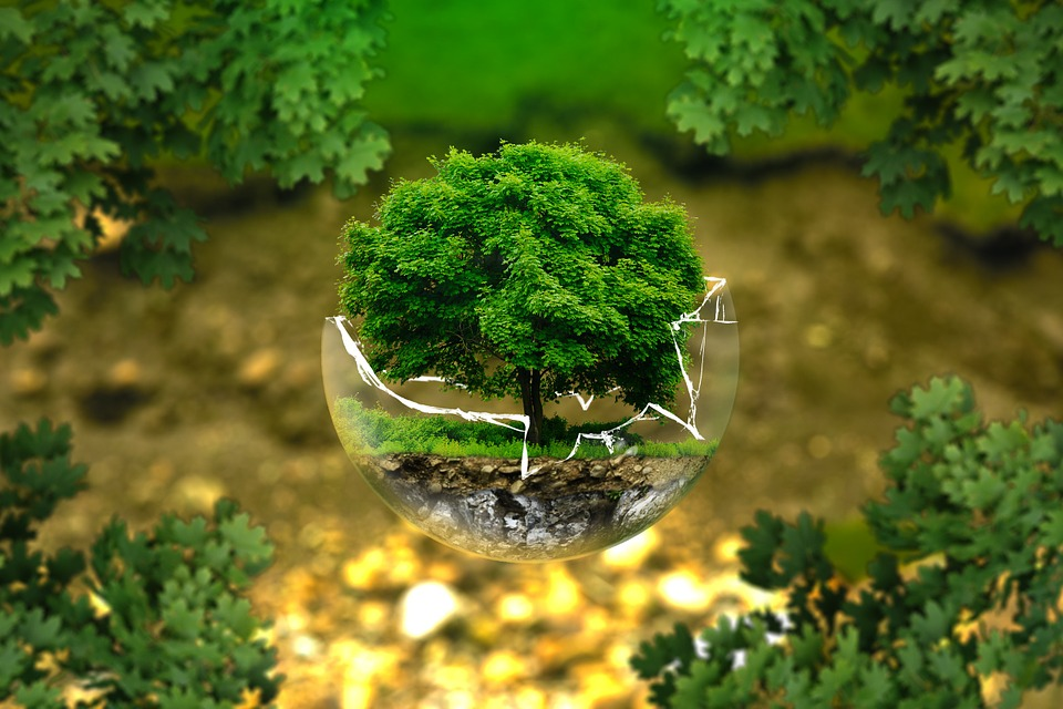 https://pixabay.com/ru/photos/%D0%BE%D1%85%D1%80%D0%B0%D0%BD%D0%B0-%D0%BE%D0%BA%D1%80%D1%83%D0%B6%D0%B0%D1%8E%D1%89%D0%B5%D0%B9-%D1%81%D1%80%D0%B5%D0%B4%D1%8B-326923/