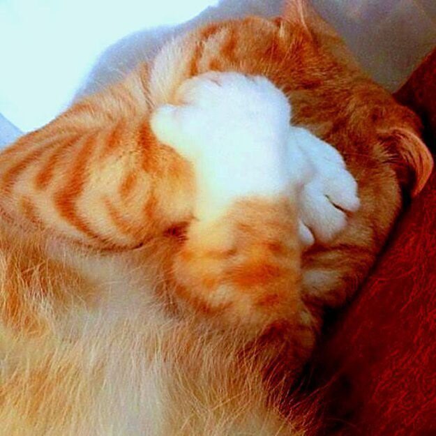 Источник: https://yandex.ru/images/