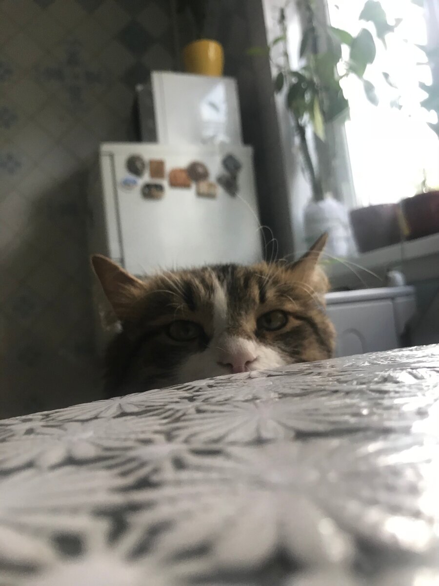 Фото из личного архива