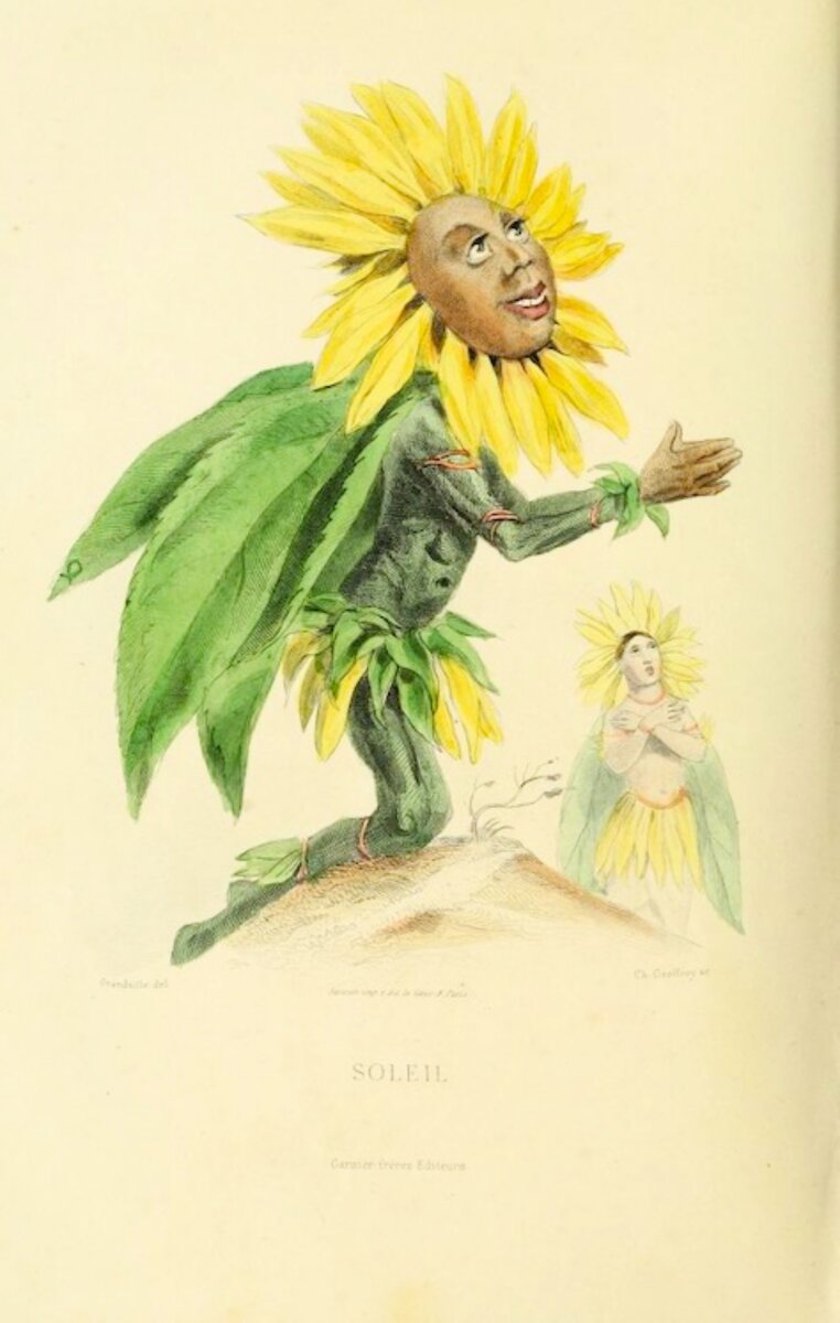 страница из "Les Fleurs Animées" JJ Grandville , 1847