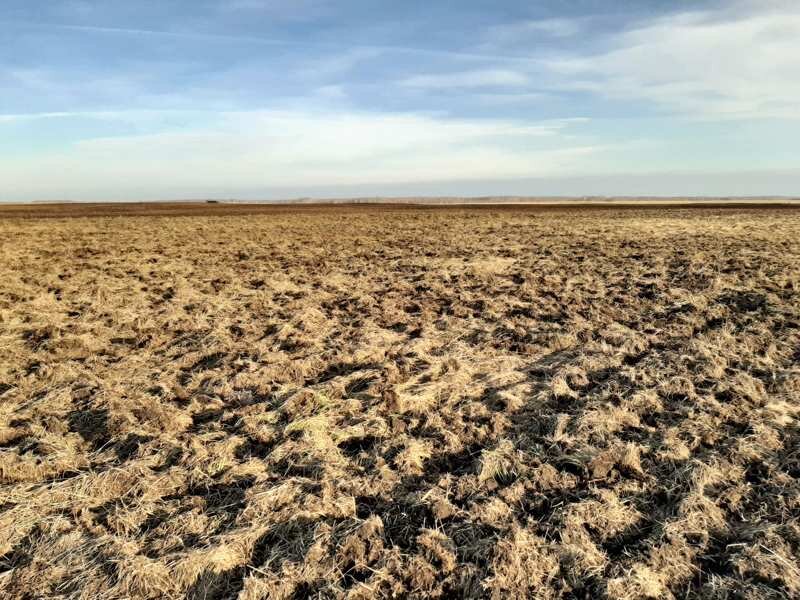 Подарок от фермера на закрытие сезона - еще вчера на этом участке была трава по колено.