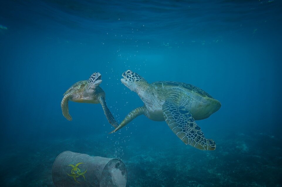 https://pixabay.com/illustrations/turtle-pollution-disaster-4390929/