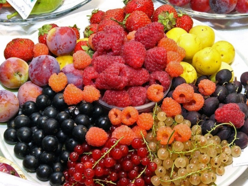 Содержание клетчатки в ягодах.