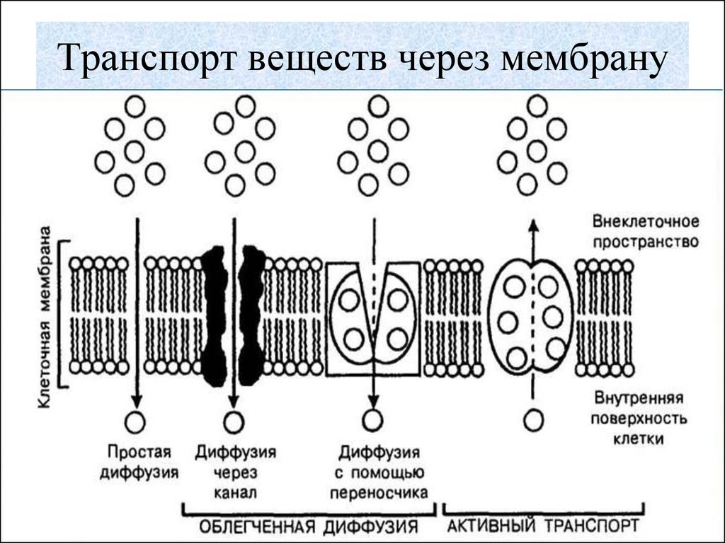 Перевозочный процесс. Под структурой фрейма понимается способ использования схем