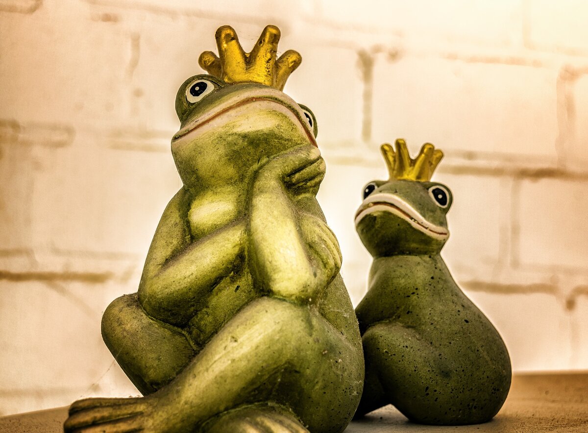 источник  https://pixabay.com/ru/ 