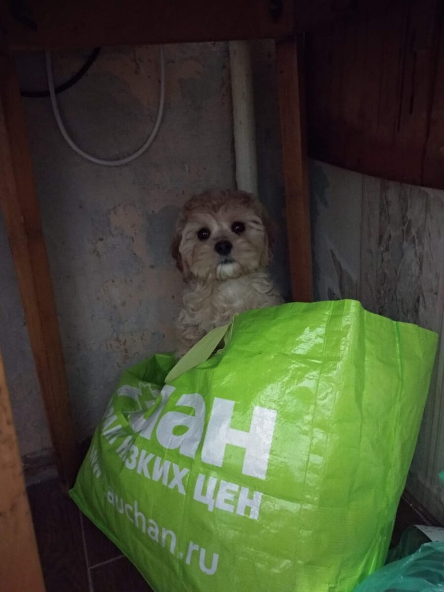 Каждый день что то изучает. 