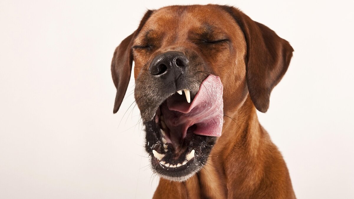 Фото Global Look Press.