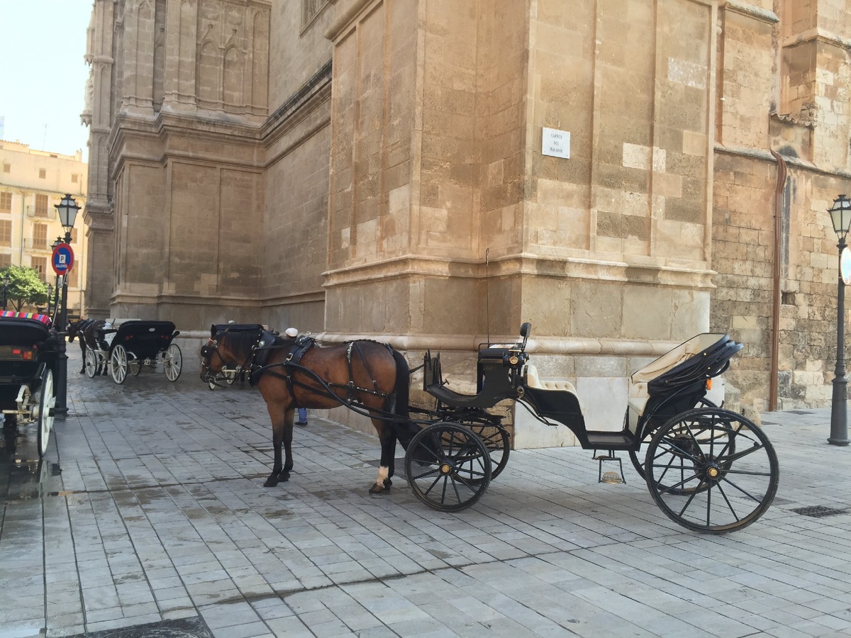 Льготы для пенсионеров