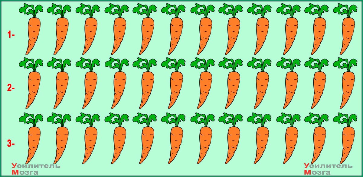 Тест на внимательность: найдите две "лишние" моркови.