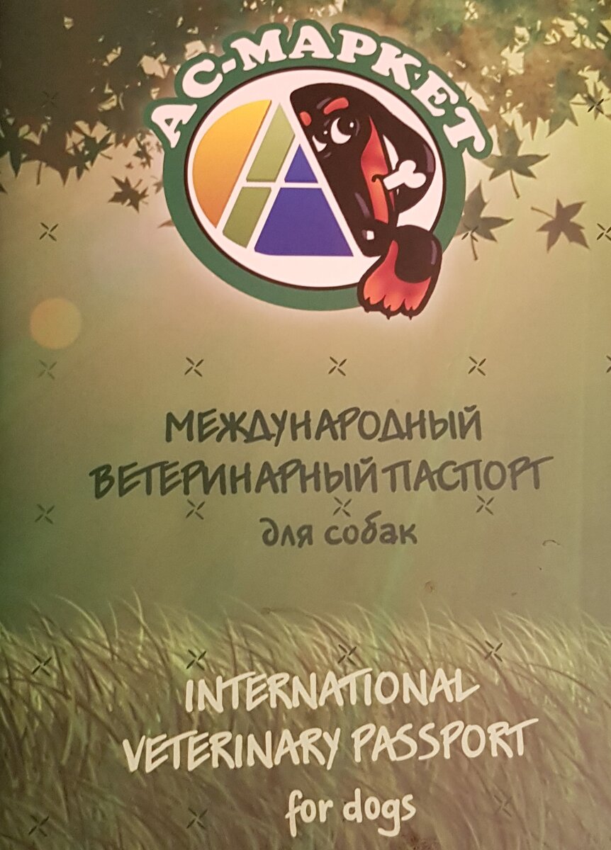 Пример обложки паспорта. Фото автора.