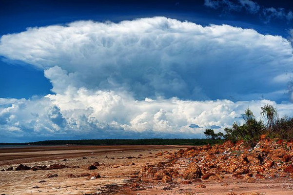 Источник: yandex/images