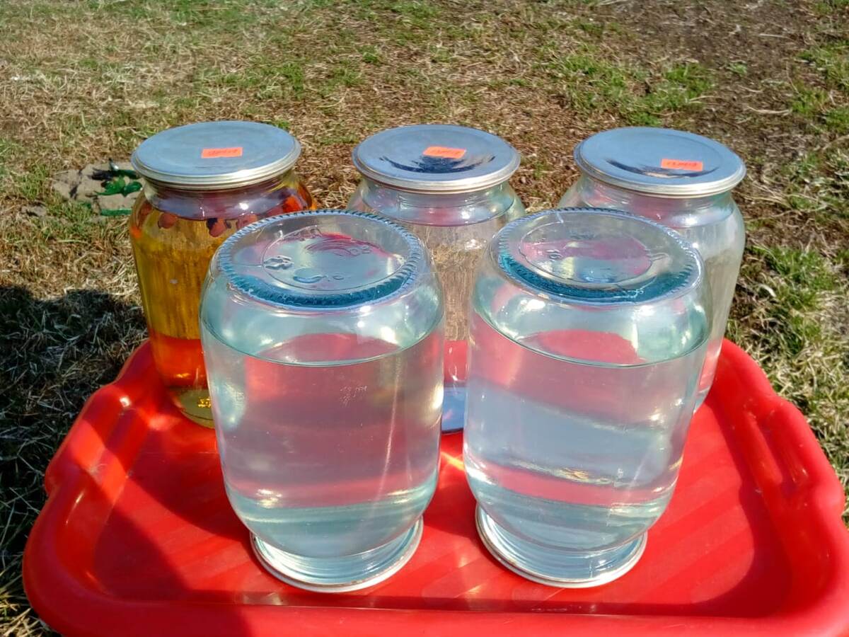 Берёзовый сок из автоклава.