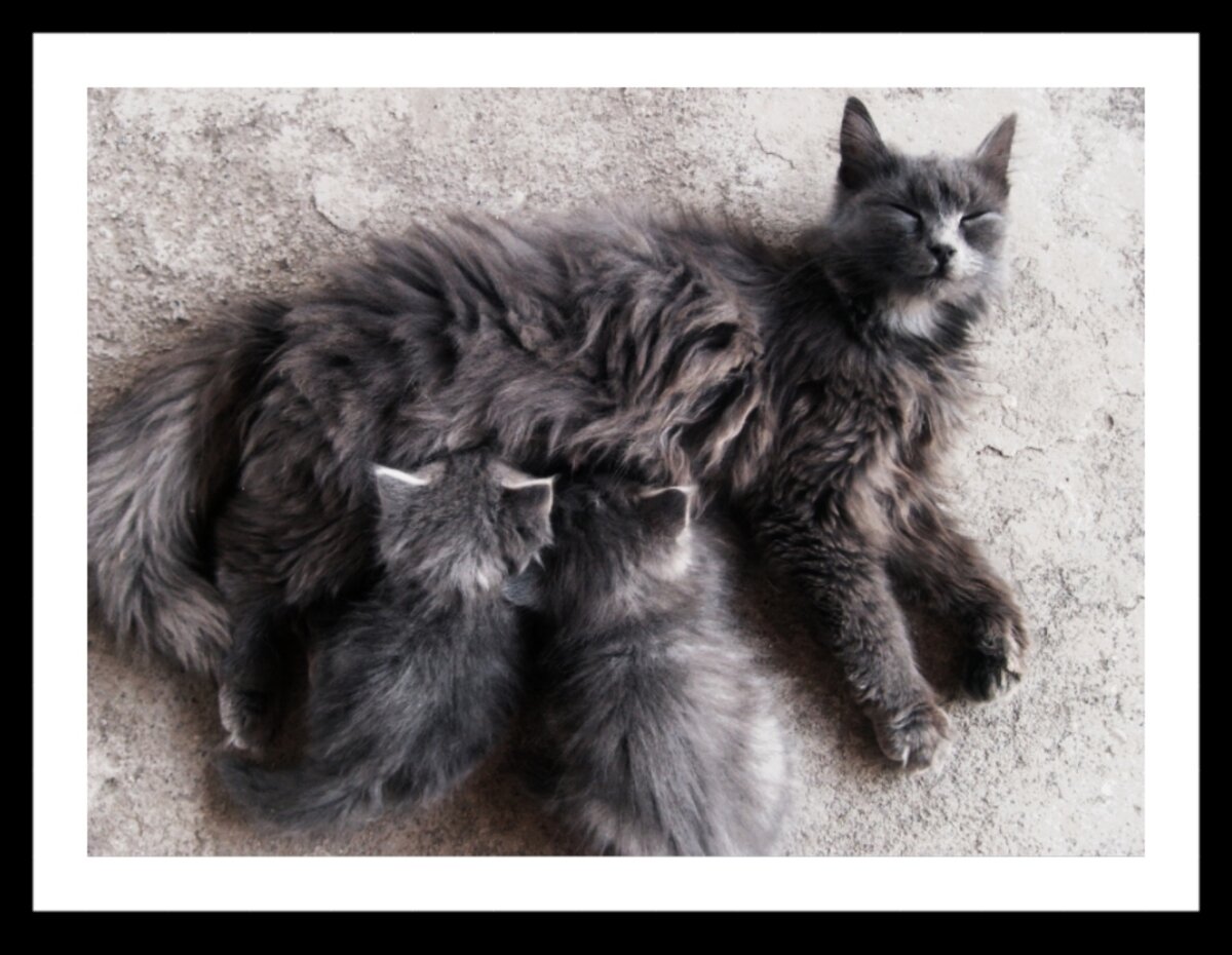 Фото из моего семейного архива.