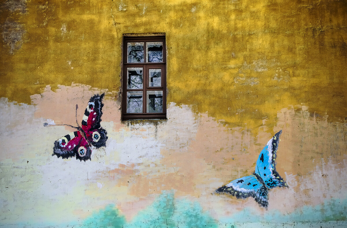 Вот такие колоритные стены встречаются в Кронштадте