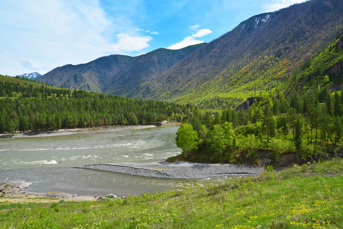 Устье реки Катунь