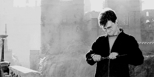 Гарри выбрасывает бузинную палочку