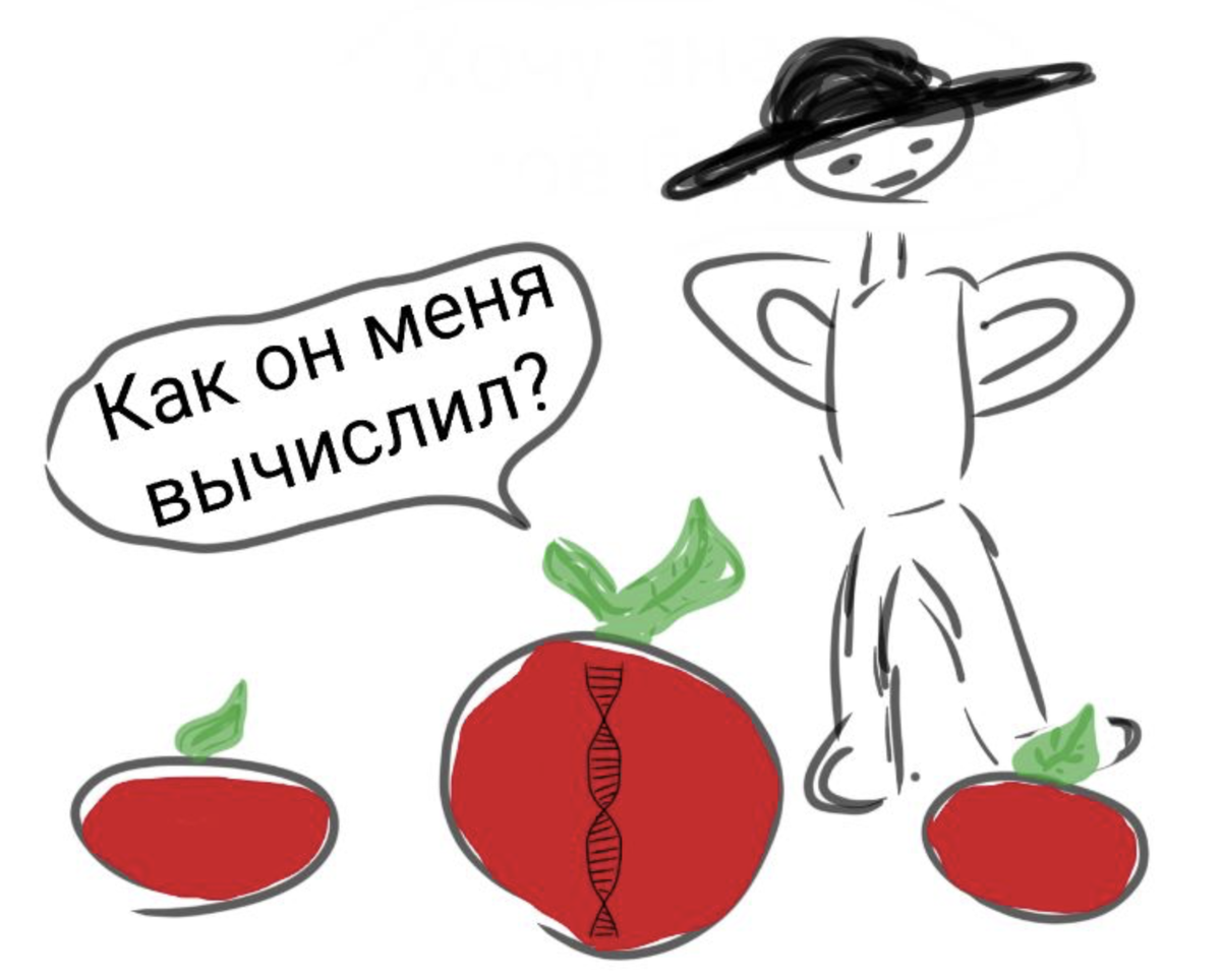 Фермер отбирает лучшие гены для лучшего потомства