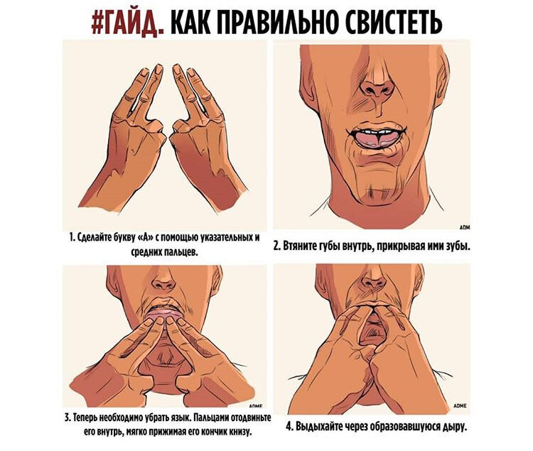 Какак научиться свистеть. Как научиться свистеть громко. Как научиться сивискит. Какмнаучиться свистеть. Как научиться свистеть громко.