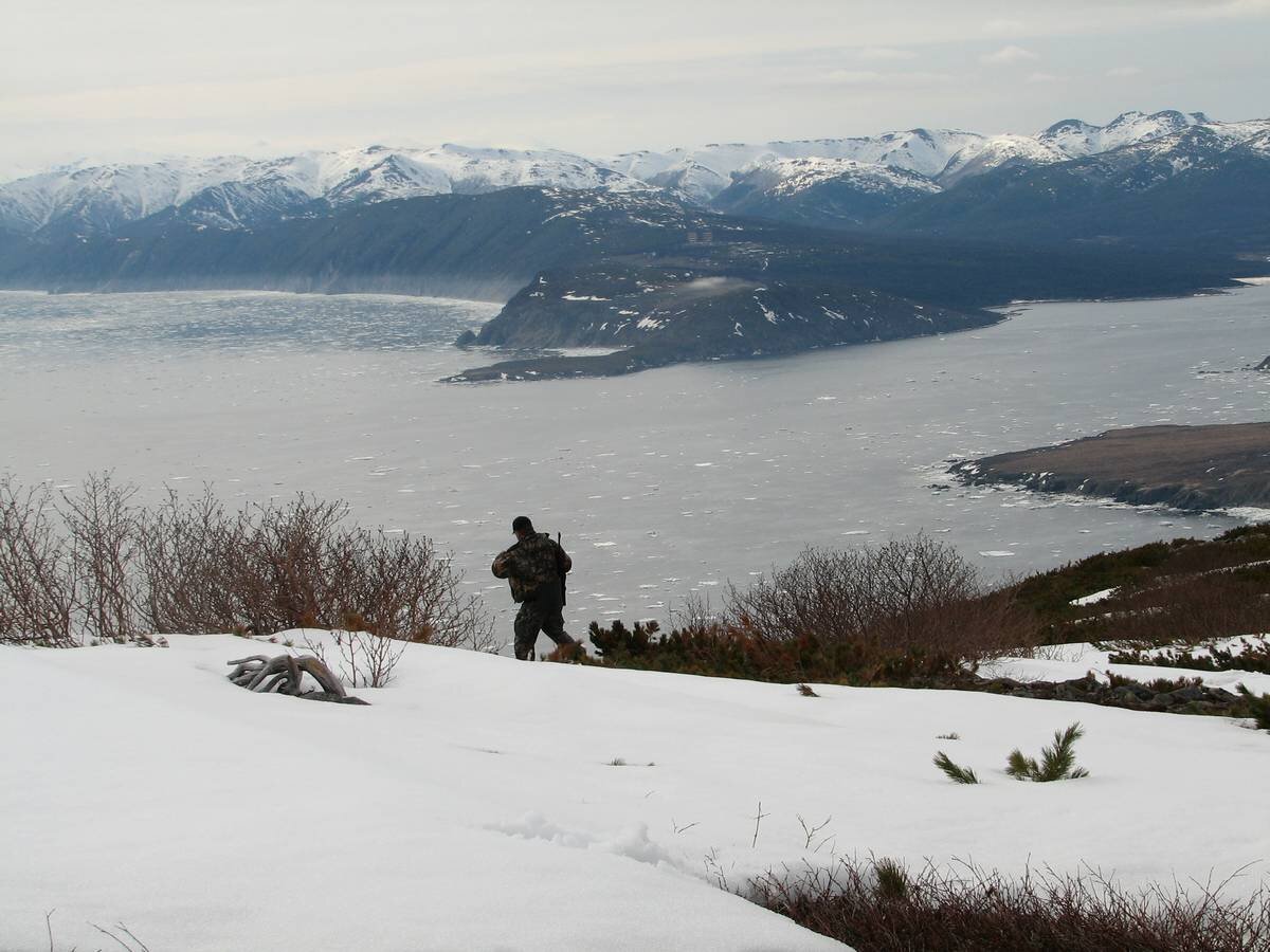 АВТОР СТАТЬИ: МИХАИЛ КРЕЧМАР