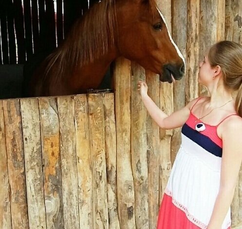 Меня всегда тянуло к лошадям