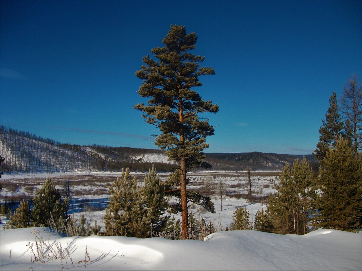 Красивый местный пейзаж.