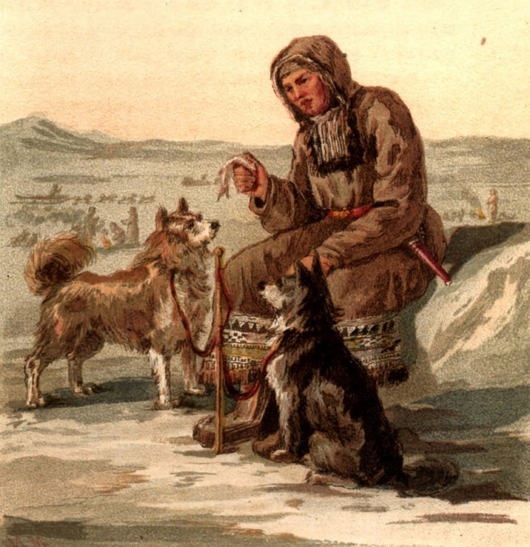 Камчадал с собаками.