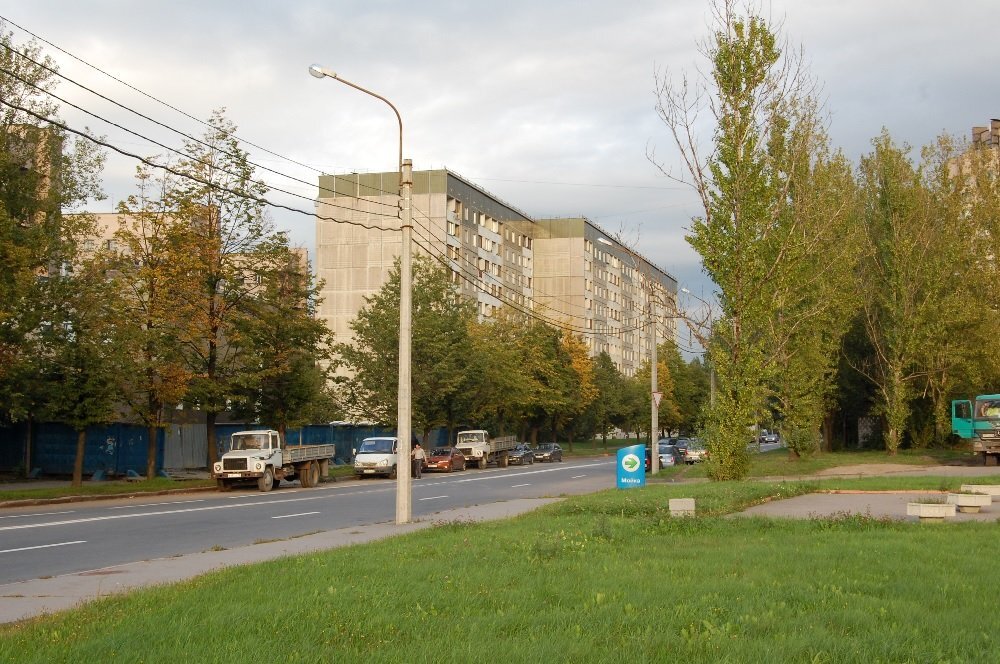 Улица имения Тадеуша Костюшко в Санкт-Петербурге. Фото "Википедия"